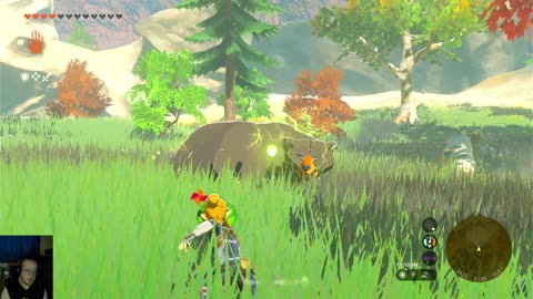 MAN VS BEAR FULL FIGHT : ZELDA TEARS OF THE KINGDOM