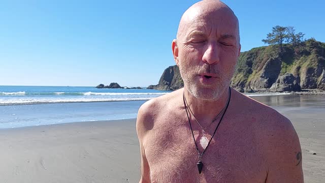 A Plunge In The Pacific