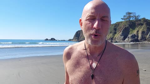 A Plunge In The Pacific