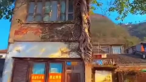Zilli funny video