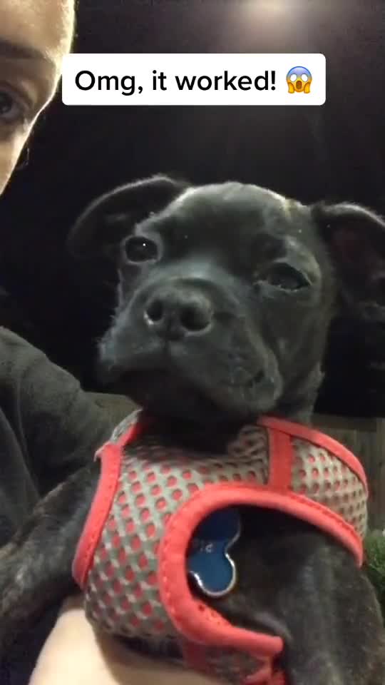 He instantly fell asleep! That’s amazing! Why can’t this work on kids!?