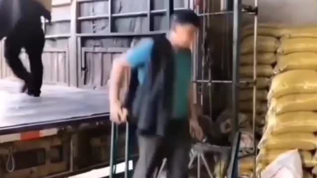 Smart ideas makes humans happy life