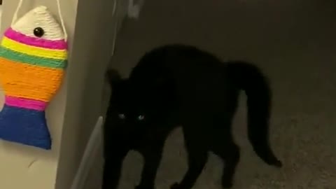 What nightmares are made of 😅