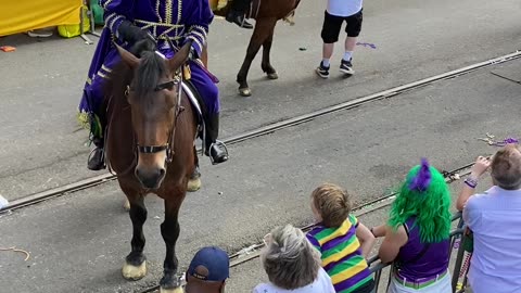 Mardi Gras Louisiana 2023