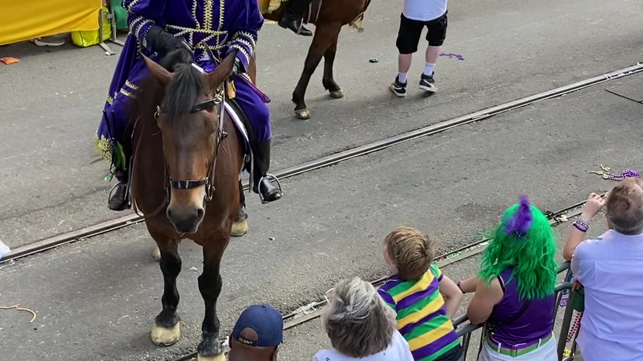 Mardi Gras Louisiana 2023