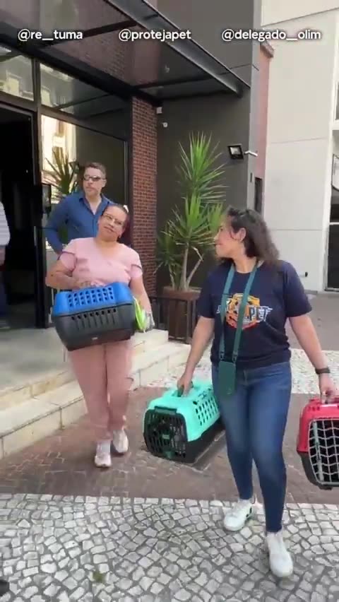 Bruna Surfistinha é investigada por abandono de animais em SP