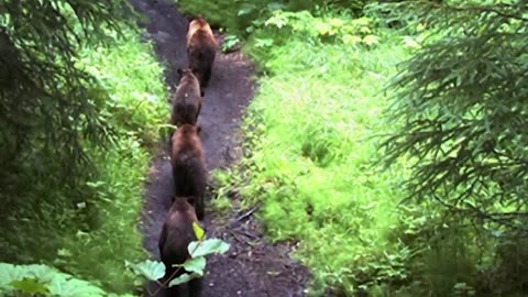 15 Scariest Hikes in the World