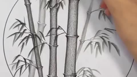 Natural Trees 🌲 Drawing