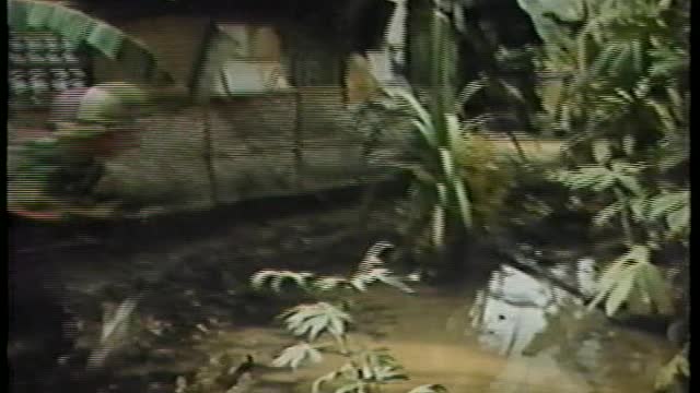 DOCUMENTARY OF VIETNAM WAR