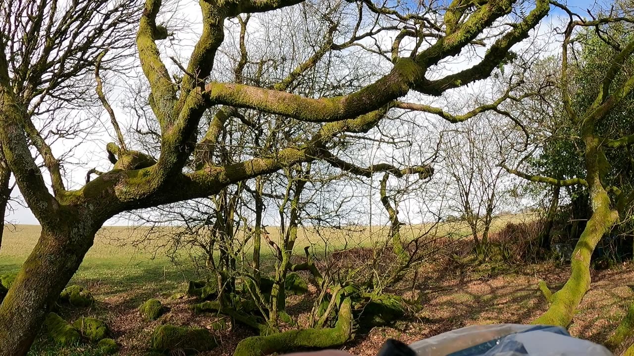 Leaving camp. Vlog while hiking. POV GoPro 24th March 2023