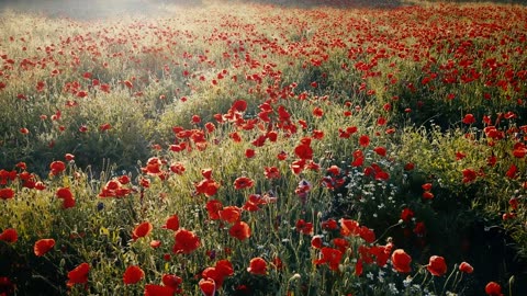 Beautiful scenery