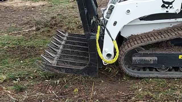 Bobcat at work