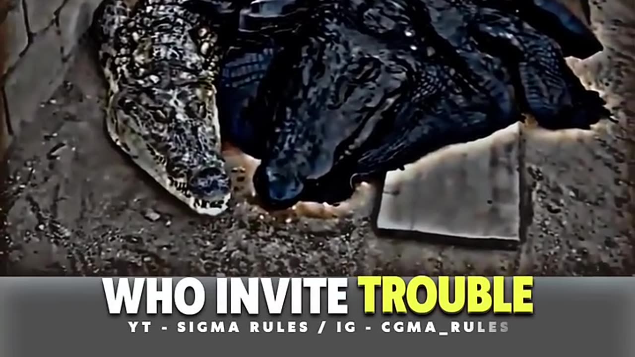 Sigma invited in trouble 😵💫