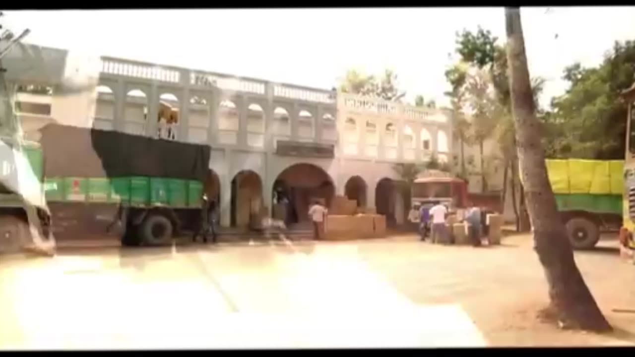 Funny videos