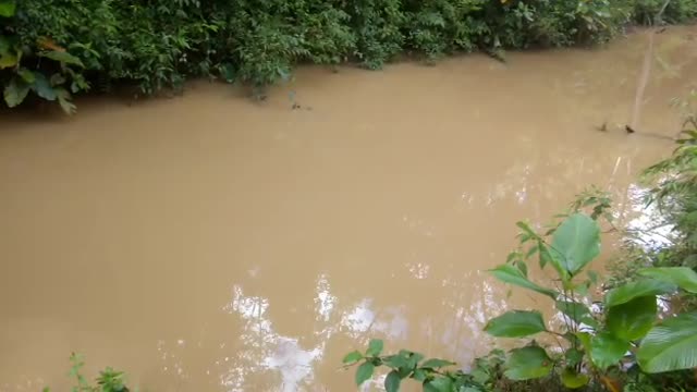 Daños en Lebrija