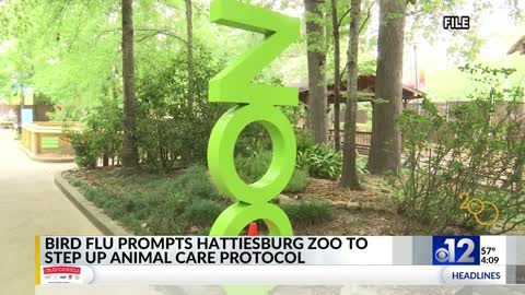 Bird flu prompts Hattiesburg Zoo to step up animal care protocol