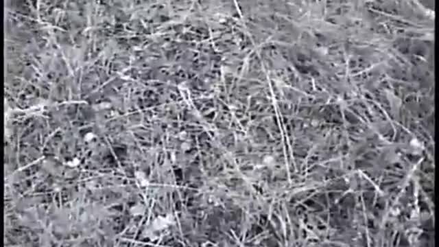 Tracking