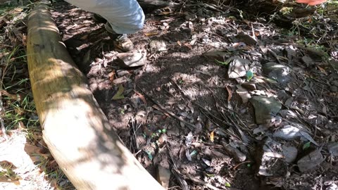 Summiting Mount Juliet: Hiking the Yarra Ranges