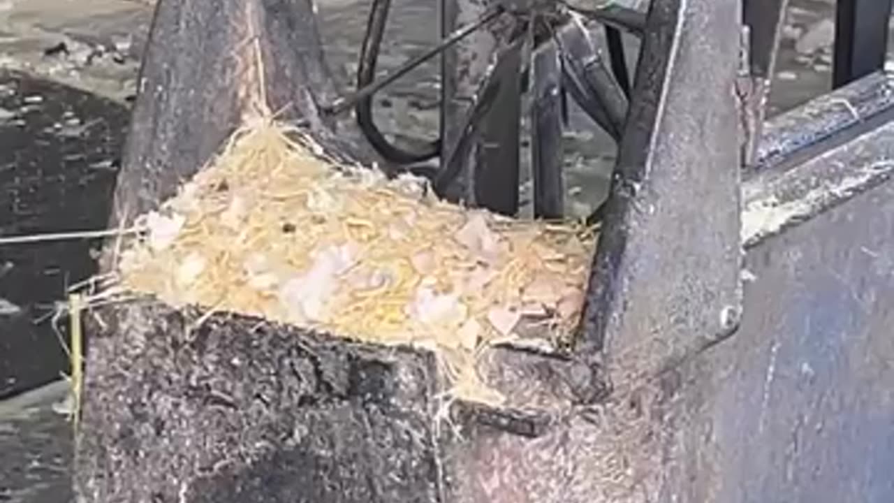 Bamboo Mat Production in China