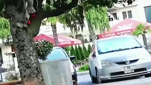 momentos felizes todos os dias