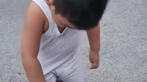 Funny video playing monkey and baby