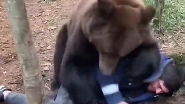 An ordinary day in the Russian forest. The bear just needs a hug.