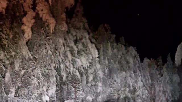 Moose Climbs Through Snow to Cross the Road