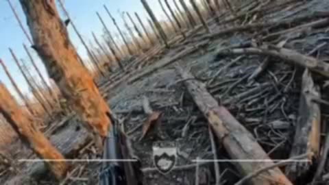 Ukrainian Soldiers Move into Russian Trenches