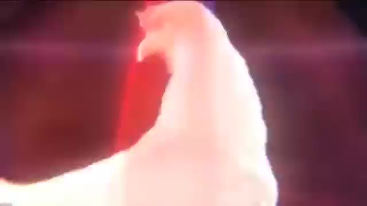 Techno-song about cock!