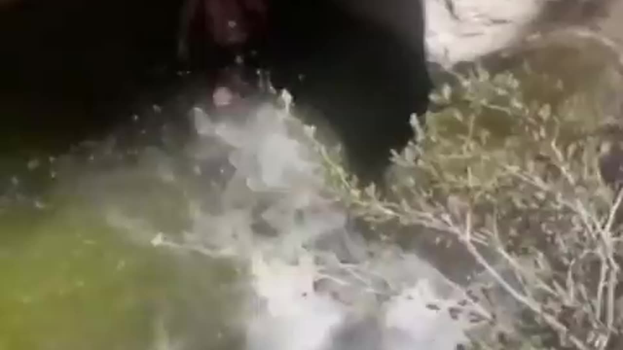 Check This Out Ladies