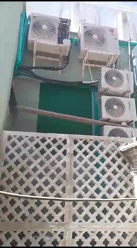 Planta produce molestias a vecinos del Centro Histórico