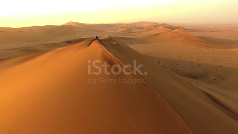 Beautiful desert