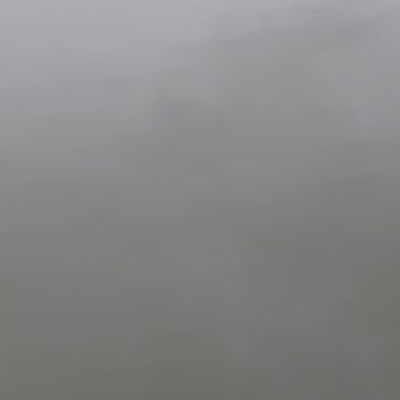 Bullfrog kissena park