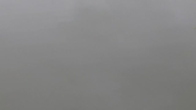 Bullfrog kissena park