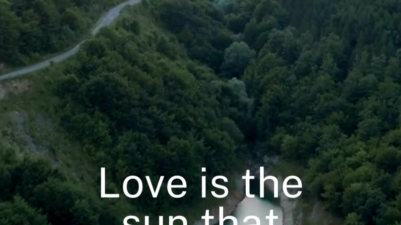 Illuminating Sun.49