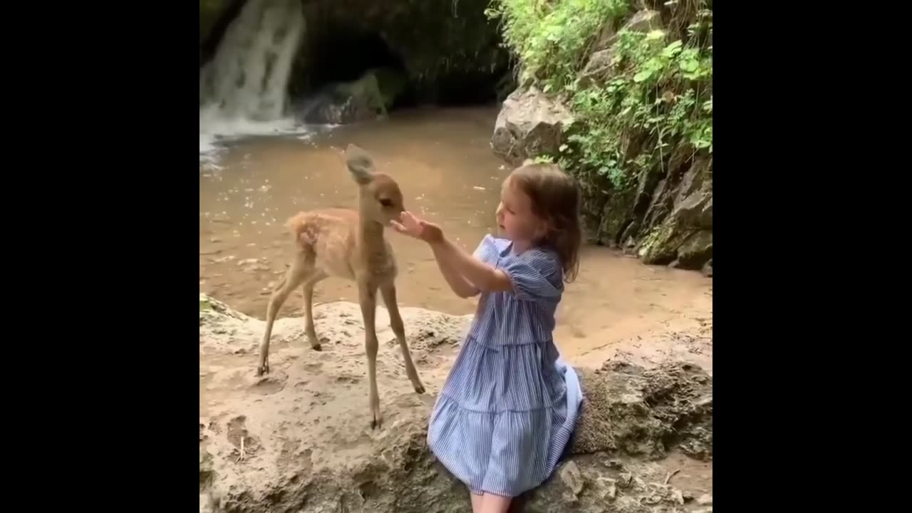 Cute Girl Playing With Deer | Activity Of Animals |