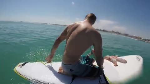 Giant Squid Attacks Surfboard!
