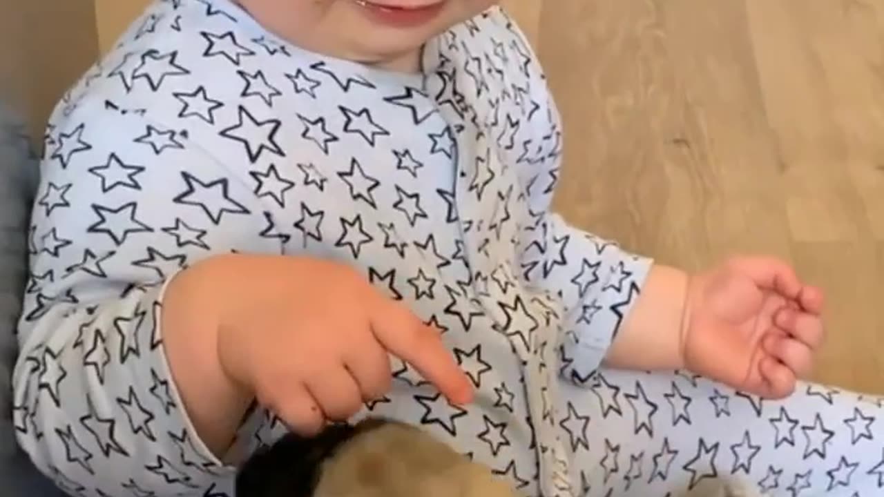 cute dogs playing with small baby