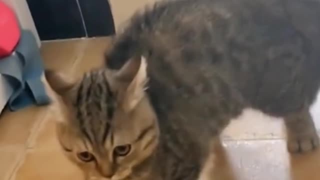 Do you see me running fast? Am I good?
