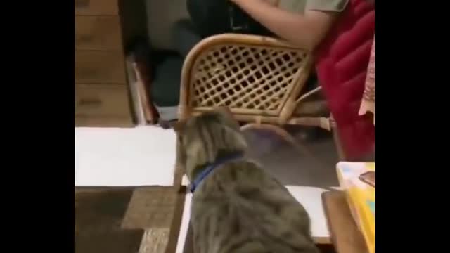 Don't try to hold back Laughter