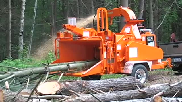 The tree cutter world's fastest