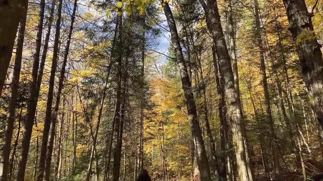 Piano meditation sounds