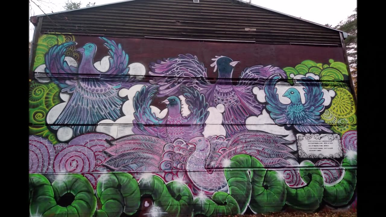 VihtiGraffiti VG41