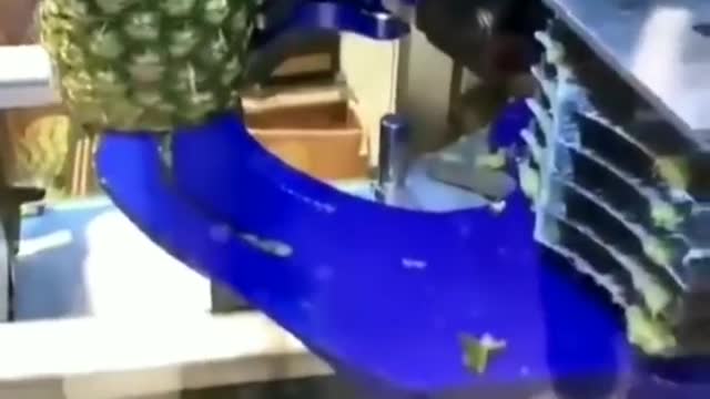 Strange pineapple slicing machine
