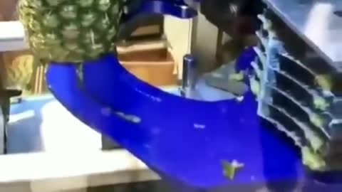 Strange pineapple slicing machine