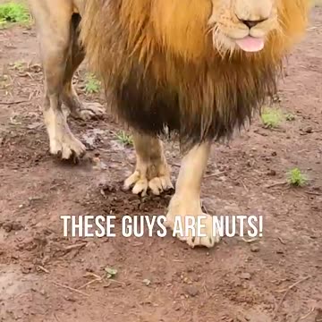 Who wants to have a friend like that? 🤩🤩🤩