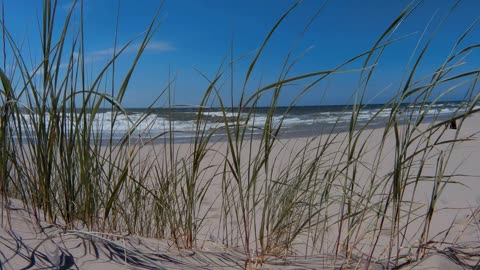 Summer day at the beach watching the waves in the breeze