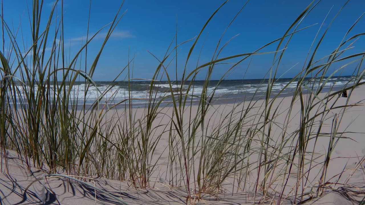 Summer day at the beach watching the waves in the breeze