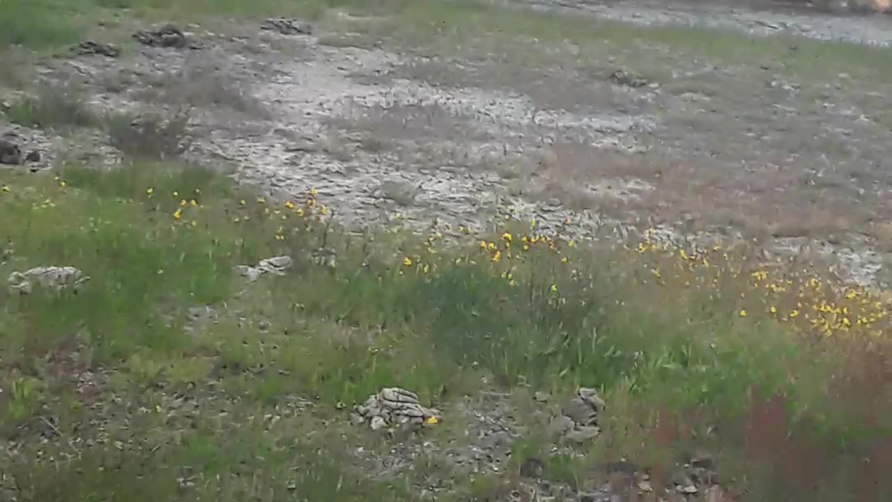 Black Sand Basin in Yellowstone feels great on a cool or cold day.6/17/23