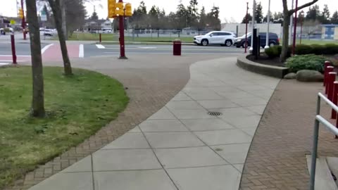 WALKING AROUND THE BELLY OF THE BEAST